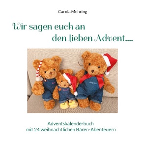 Wir sagen euch an den lieben Advent…. von Mehring,  Carola