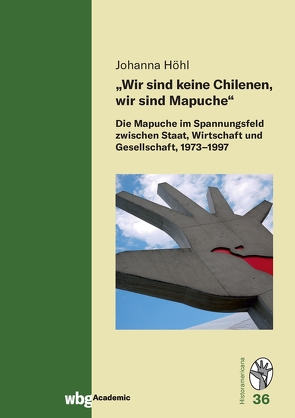 „Wir sind keine Chilenen, wir sind Mapuche“ von Höhl,  Johanna