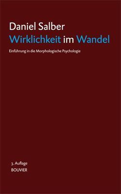 Wirklichkeit im Wandel von Salber,  Daniel