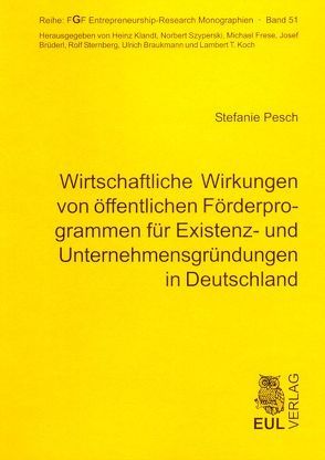 Wirtschaftliche Wirkungen von öffentlichen Förderprogrammen für Existenz- und Unternehmensgründungen in Deutschland von Pesch,  Stefanie, Piorkowsky,  Michael B