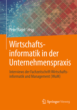 Wirtschaftsinformatik in der Unternehmenspraxis von Pagel,  Peter