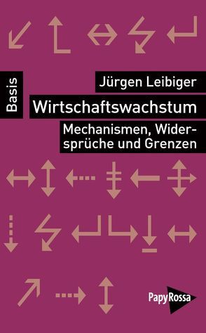 Wirtschaftswachstum von Leibiger,  Jürgen