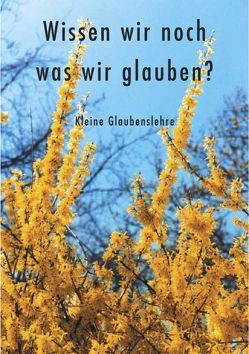 Wissen wir noch, was wir glauben? von Dähne,  Fred, Schadt-Beck,  Ellen, Schadt-Beck,  Gerhard