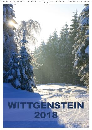 Wittgenstein / Planer (Wandkalender 2018 DIN A3 hoch) von N.,  N.