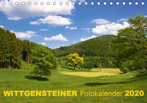 Wittgensteiner Fotokalender 2020 (Tischkalender 2020 DIN A5 quer) von Bücker,  Heidi