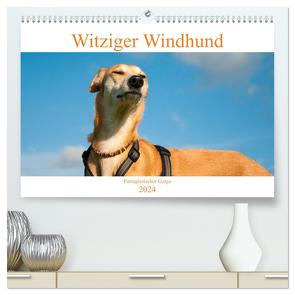 Witziger Windhund – Portugiesischer Galgo (hochwertiger Premium Wandkalender 2024 DIN A2 quer), Kunstdruck in Hochglanz von Bölts,  Meike