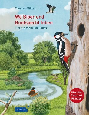 Wo Biber und Buntspecht leben von Mueller,  Thomas