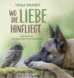 Wo die Liebe hinfliegt von Brandt,  Tanja