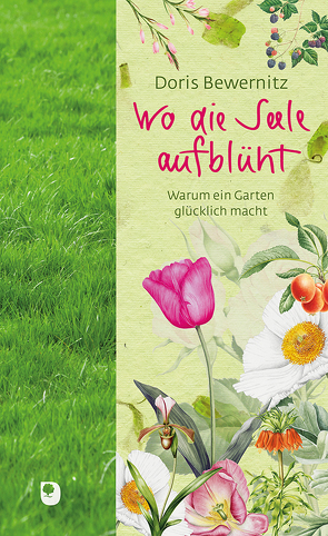 Wo die Seele aufblüht von Bewernitz,  Doris, Crosthwaite,  Sally, Göhner,  Manuela