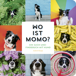 Wo ist Momo? von Knapp,  Andrew