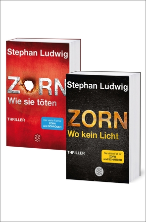 Wo kein Licht / Wie sie töten – Zwei Zorn-Thriller in einem Band von Ludwig,  Stephan