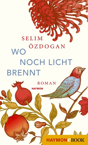 Wo noch Licht brennt von Özdogan,  Selim