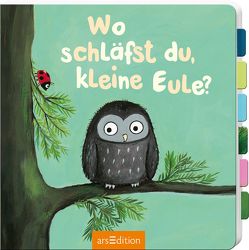 Wo schläfst du, kleine Eule? von Vogel,  Heike