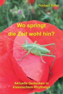 Wo springt die Zeit wohl hin? von Rahn,  Norbert