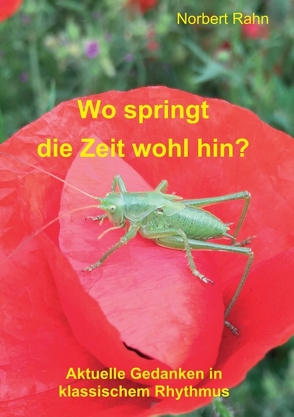 Wo springt die Zeit wohl hin? von Rahn,  Norbert