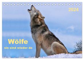 Wölfe – sie sind wieder da (Tischkalender 2024 DIN A5 quer), CALVENDO Monatskalender von Roder,  Peter