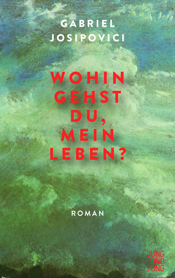 Wohin gehst du, mein Leben? von Josipovici,  Gabriel, Jung,  Jochen