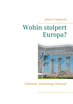 Wohin stolpert Europa? von Friederichs,  Johann