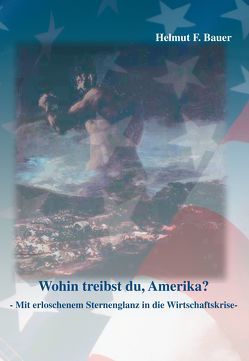 Wohin treibst du, Amerika? von Bauer,  Helmut F