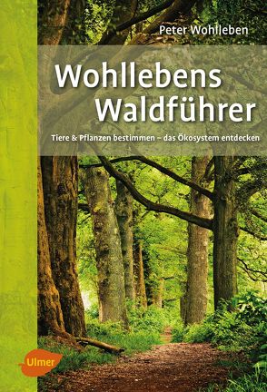 Wohllebens Waldführer von Wohlleben,  Peter