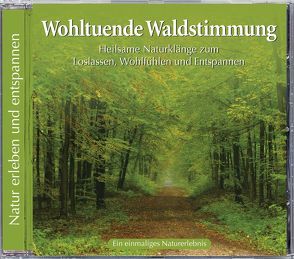 Wohltuende Waldstimmung