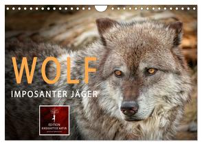 Wolf – Imposanter Jäger (Wandkalender 2024 DIN A4 quer), CALVENDO Monatskalender von Roder,  Peter