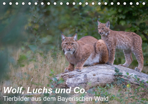 Wolf, Luchs und Co. – Tierbilder aus dem Bayerischen Wald (Tischkalender 2021 DIN A5 quer) von Buchmann,  Klaus, www.klaus-buchmann.de