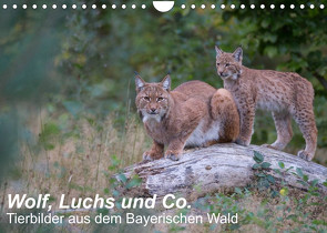 Wolf, Luchs und Co. – Tierbilder aus dem Bayerischen Wald (Wandkalender 2022 DIN A4 quer) von Buchmann,  Klaus, www.klaus-buchmann.de