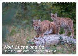 Wolf, Luchs und Co. – Tierbilder aus dem Bayerischen Wald (Wandkalender 2024 DIN A3 quer), CALVENDO Monatskalender von Buchmann,  www.klaus-buchmann.de,  Klaus