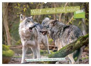 Wolf – wild und schön (Wandkalender 2024 DIN A2 quer), CALVENDO Monatskalender von Riedel,  Tanja