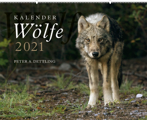 Wolfskalender 2021 von Dettling,  Peter A.