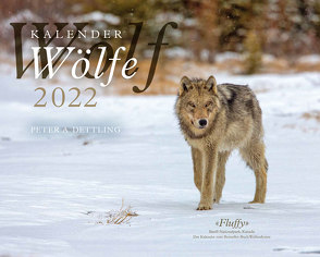 Wolfskalender 2022 von Dettling,  Peter A.