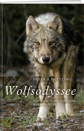 Wolfsodyssee von Dettling,  Peter A.