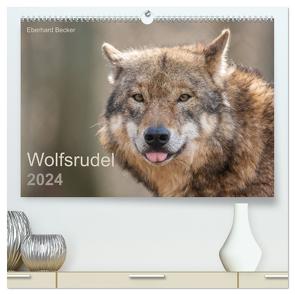 Wolfsrudel (hochwertiger Premium Wandkalender 2024 DIN A2 quer), Kunstdruck in Hochglanz von Becker,  Eberhard