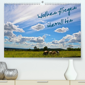 Wolken fliegen überall hin (Premium, hochwertiger DIN A2 Wandkalender 2022, Kunstdruck in Hochglanz) von Drews,  Marianne