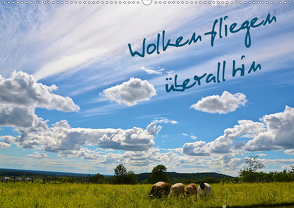 Wolken fliegen überall hin (Wandkalender 2021 DIN A2 quer) von Drews,  Marianne