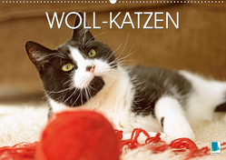 Woll-Katzen (Wandkalender 2021 DIN A2 quer) von CALVENDO