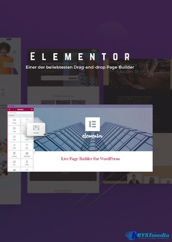 WordPress – Elementor von Krystynek,  Isabella