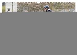 Working Equitation (Wandkalender 2024 DIN A3 quer), CALVENDO Monatskalender von Sixt,  Marion