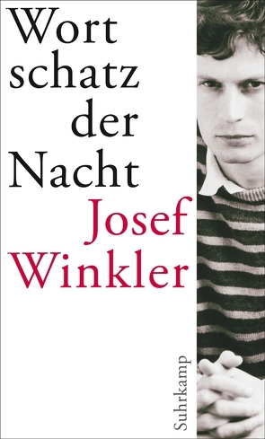 Wortschatz der Nacht von Winkler,  Josef