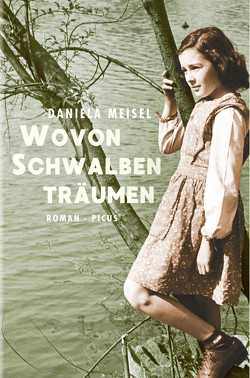 Wovon Schwalben träumen von Meisel,  Daniela