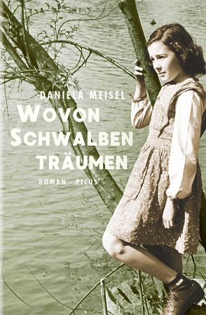 Wovon Schwalben träumen von Meisel,  Daniela