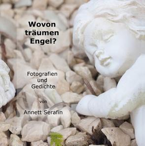 Wovon träumen Engel? von Serafin,  Annett