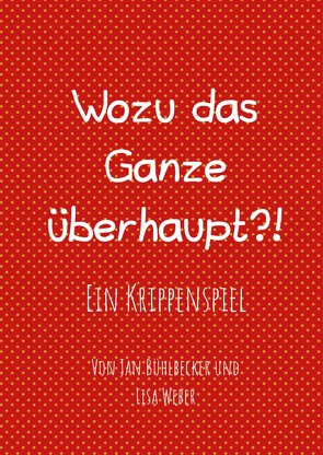 Wozu das Ganze überhaupt von Bühlbecker,  Jan, Weber,  Lisa