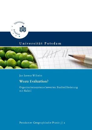 Wozu Evaluation? von Wilhelm,  Jan Lorenz