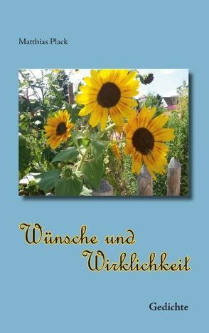 Wünsche und Wirklichkeit von Plack,  Matthias