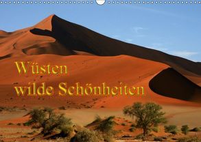 Wüsten, wilde Schönheiten (Wandkalender 2019 DIN A3 quer) von Müller,  Erika