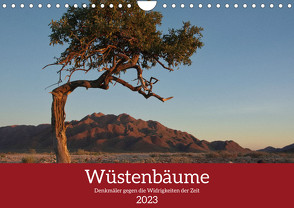 Wüstenbäume (Wandkalender 2023 DIN A4 quer) von Wolf,  Heiko