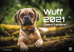 Wuff – Unsere Vierbeiner – Der Hundekalender – 2021 – Kalender – Format: DIN A3 von Wobser,  Steve