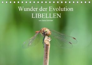 Wunder der Evolution Libellen (Tischkalender 2018 DIN A5 quer) von Schröder,  Diana